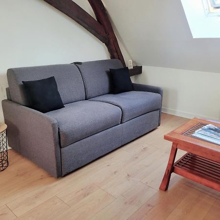 Appartement Au Centre Ville De Санс Экстерьер фото