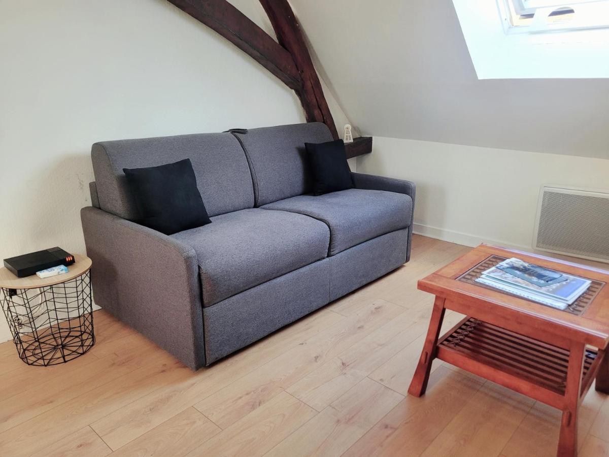 Appartement Au Centre Ville De Санс Экстерьер фото